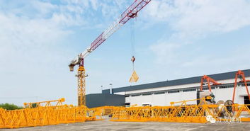 江漢建機鳳凰新區(qū)接受市領導檢閱